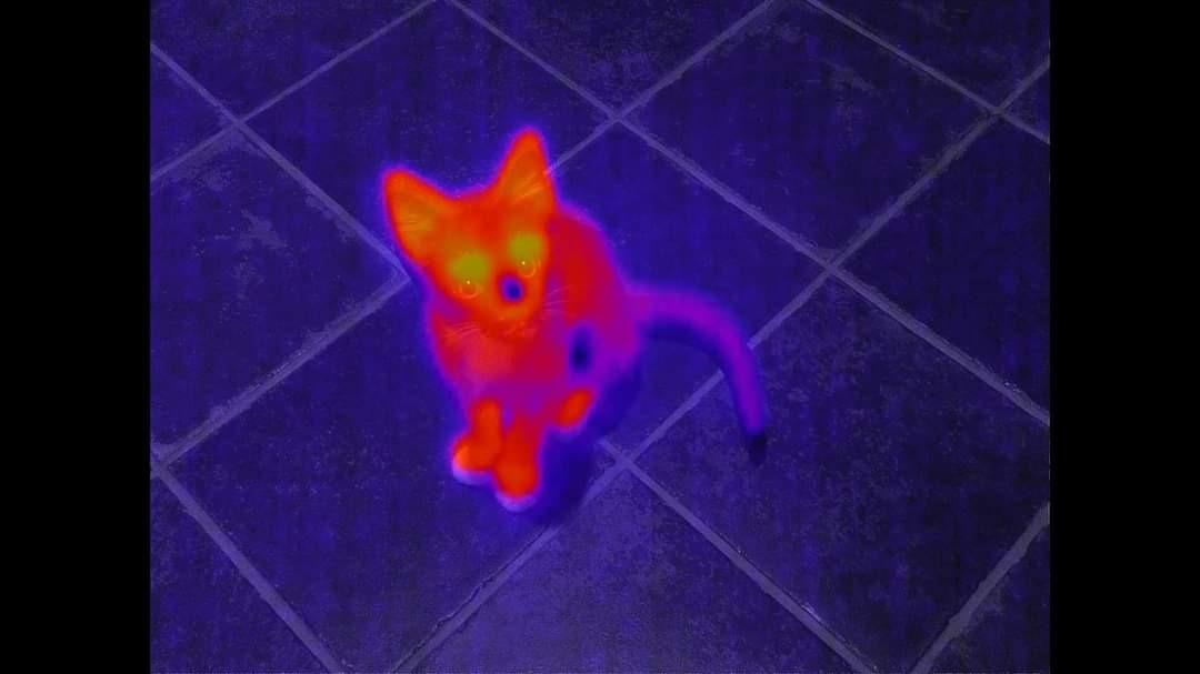 Parrot Anafi Thermal Drone Termico 4K -10/400°C