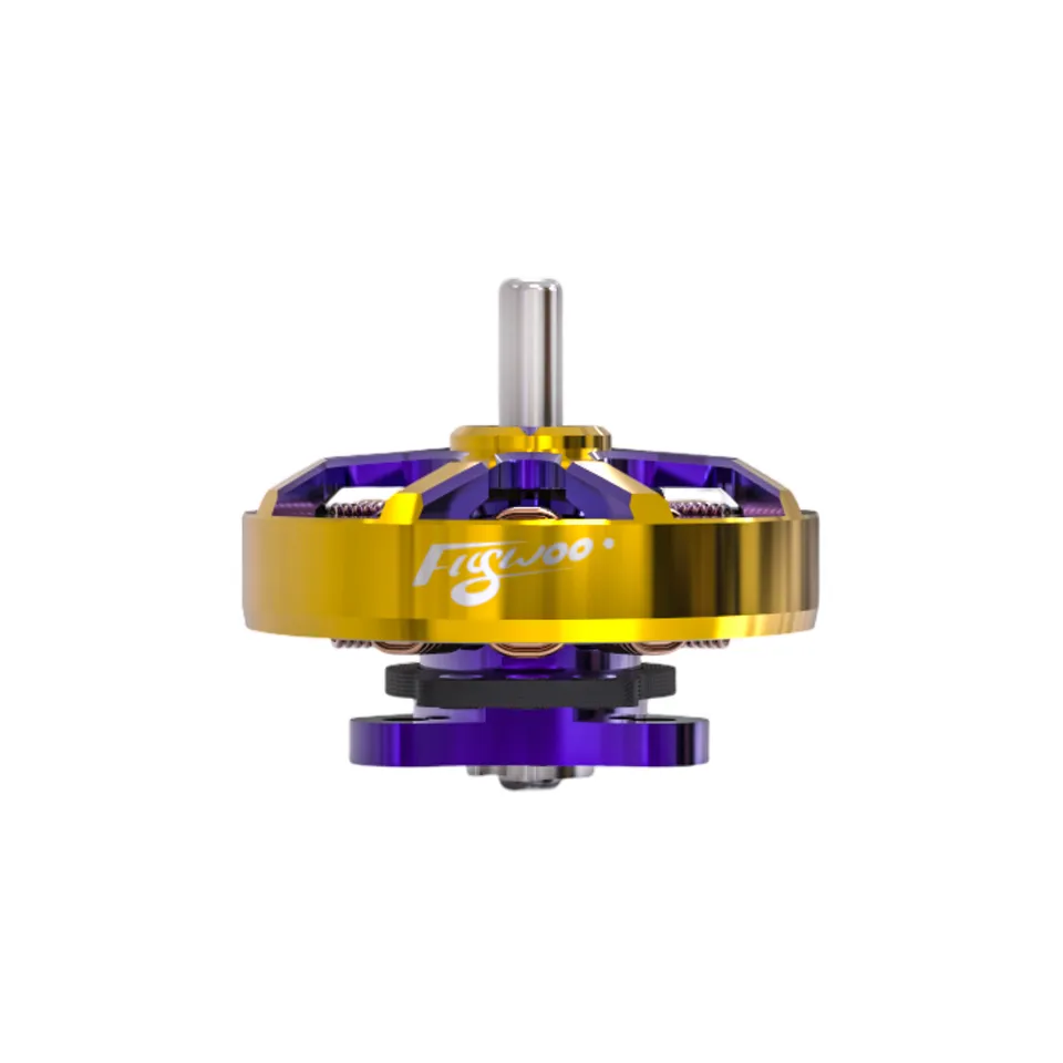 FlyWoo ROBO 1002 19800KV Motore FPV 1S 2,5g Oro